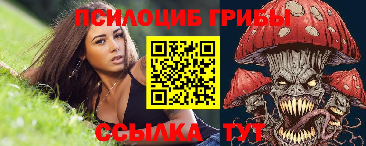 Псилоцибиновые грибы Psilocybine cubensis  Галлюциногенные грибы ЛСД  Приморско-Ахтарск  Вход с VPN 