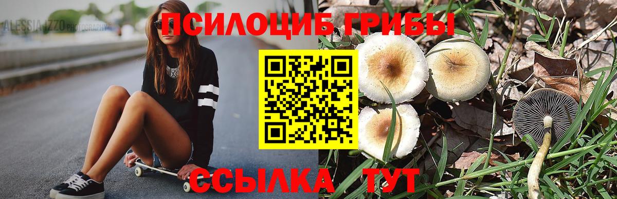 Псилоцибиновые грибы Magic Shrooms Приморско-Ахтарск